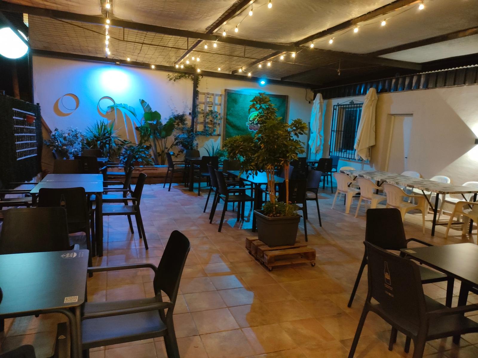 Terraza de The Hot Buffalo